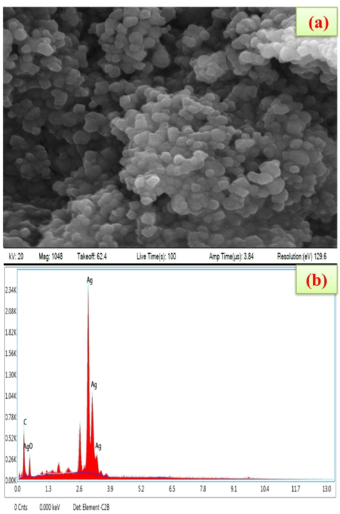 (a) Scanning Electron Microscope image of silver nanoparticles synthesized in P. subpeltata aqueous leaf extracts (Ps-ALE), (b) Edax spectrum showed the presence of strong Ag signals.