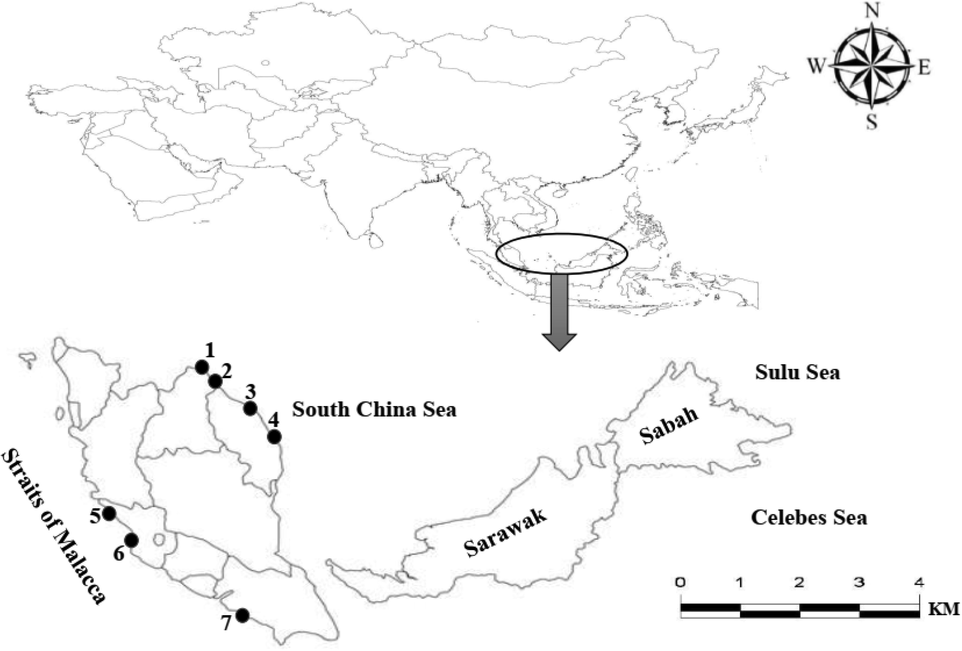 Sampling locations of Euthynnus affinis specimens collected from the Straits of Malacca and South China Sea: 1. Pasir Puteh, Kelantan, 2. Tok Bali, Kelantan, 3. Pantai Kijal, Terengganu, 4. Pulau Tenggol, Terengganu, 5. Sungai Besar, Selangor, 6. Kuala Selangor, Selangor, 7. Kukup, Johor.