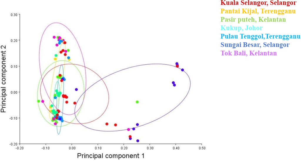 Principal components analysis of seven population of Euthynnus affinis shows PC1 = 24.35%, PC2 = 19.09%, PC3 = 11.29, and PC4 = 10.96, accounting for 65.69% of the total variation in 114 samples.