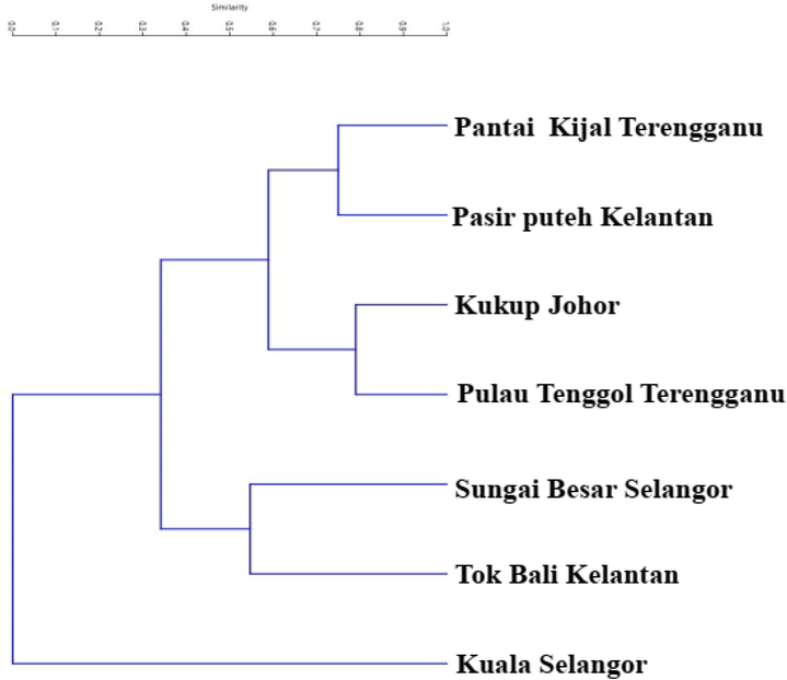 Dendrogram generated by Unweighted Pair Group Method with Arithmetic Mean (UPGMA) algorithm using procrustes distances between seven populations of Euthynnus affinis collected from Peninsular Malaysia.