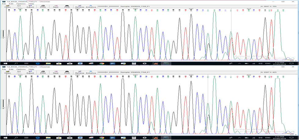 Variants where T is replaced by A at 324 position and in the second sample G is replaced by A at position 328.