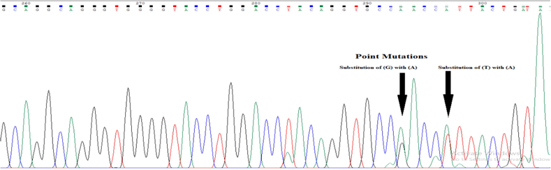The recording illustrates substitution wherever T is replaced by A and G by A.