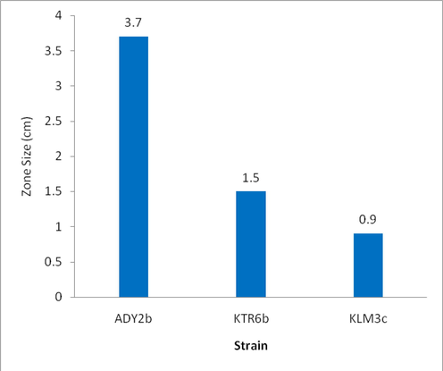 Showing the zone size produced by bacterial isolates in the oil displacement test.