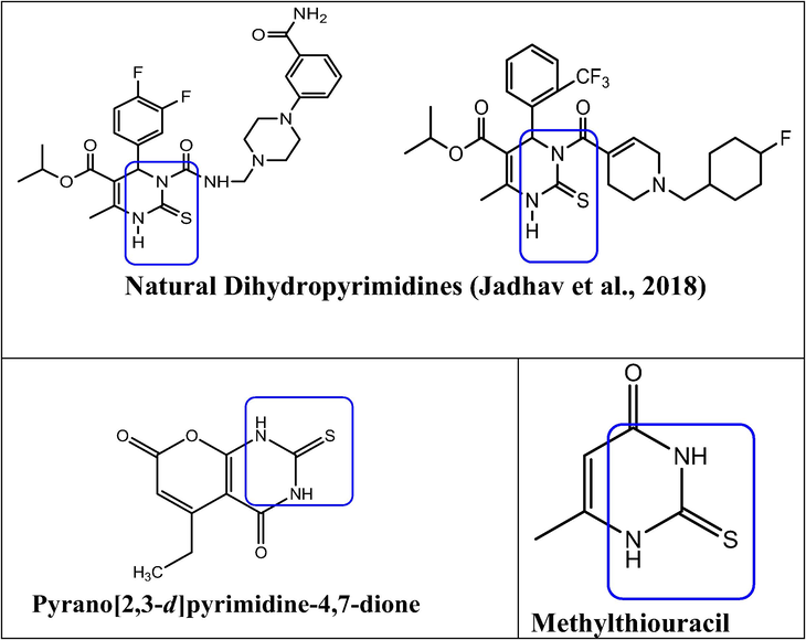 Natural bioactive 2-thioxo pyrimidine.