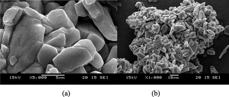 AEEA-Cu(II)-Nps of SEM images.