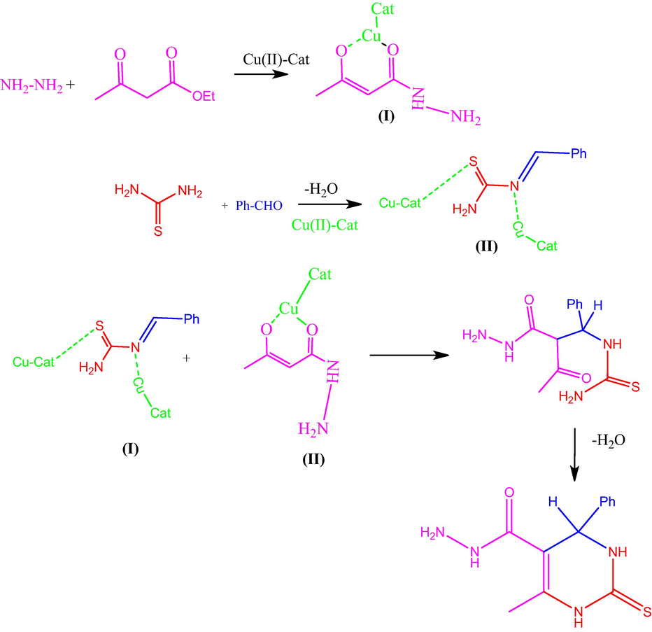 Mechanism of formation of 2-thioxo pyrimidinehydrazide compound 1a.