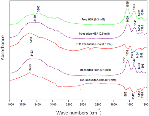 FT-IR spectra of free HSA and its IRB complexes, at drug concentrations (0.5 mM and 0.1 mM) and fixed HSA concentration (0.3 mM) in the range of 4000–1300 cm−1.