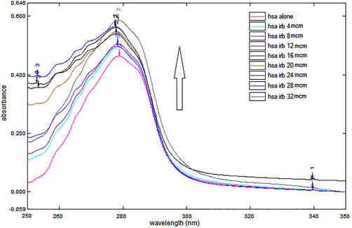 UV absorption spectra of HSA alone and in presence of IRB. The concentration of HSA was constant (12 µM), while successively increasing concentrations (4, 8, 12, 16, 20, 24, 28 and 32 µM) of IRB was added to record the spectrum.