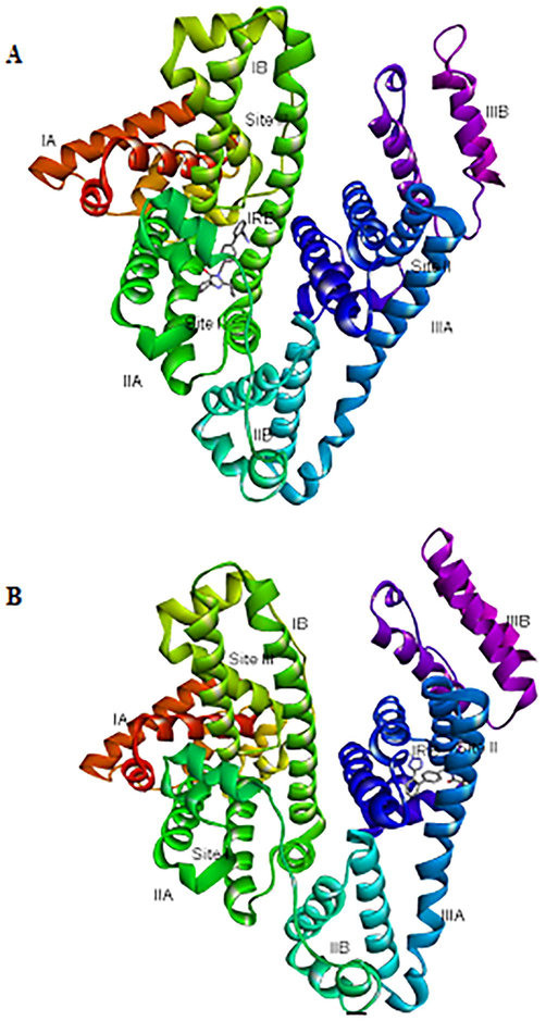A) 3-D representation of IRB bound to Sudlow’s site I (subdomain IIA) B) 3-D representation of IRB bound to Sudlow’s site II (subdomain IIIA). HSA is shown as solid ribbons in rainbow colors labeled with its different domains; IRB = Irbesartan shown as sticks, colored by elements.