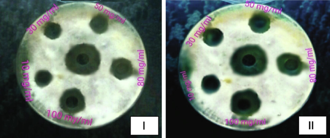 Inhibition zones around the agar wells against Fusarium oxysporum. Aqueous extracts (I) and Ethanolic extracts (II) and Middle well indicates Positive control (Fungicide).