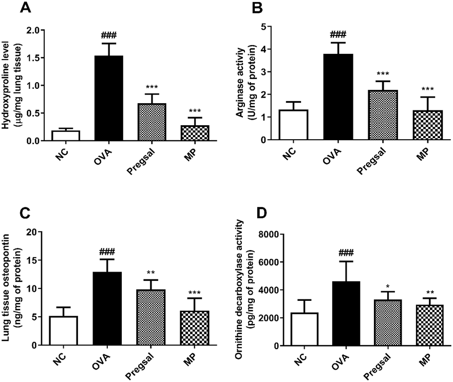 The effect of pregsal on lung remodelling parameters. (A) Hydroxyproline level. (B) Arginase activity. (C) Osteopontin level in lung tissues and, (D) Ornithine decarboxylase activity in lung mitochondria. Results are represented as mean ± SD for 10 rats in each group. P < 0.001, P < 0.01 and P < 0.05 is denoted by ***, ** and *, respectively, which show a statistical difference in comparison to the OVA group. ### denotes P < 0.001, which show a statistical difference in comparison to the NC group. Negative control (NC), ovalbumin (OVA), salicylaldehyde derivative of pregabalin (pregsal), methylprednisolone (MP).