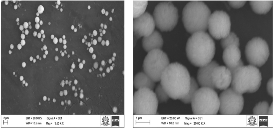 Scanning Electron Microscopy analysis of zinc oxide nanoparticles.