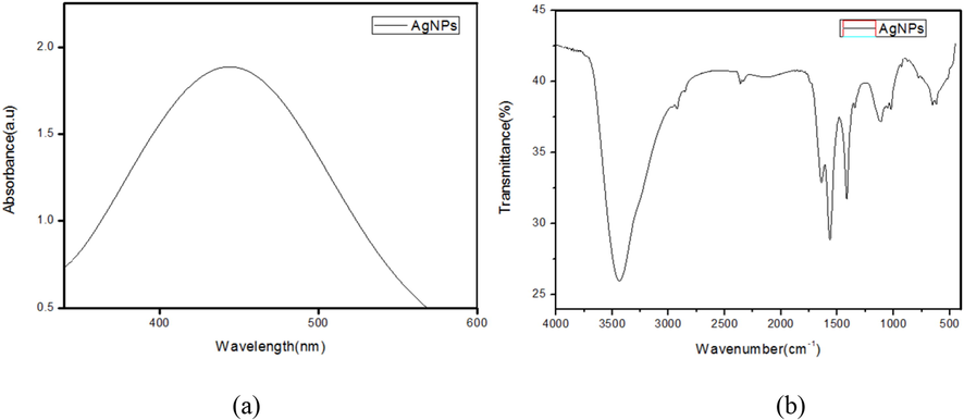 (a) UV–Vis spectrum and (b) FTIR spectrum of AgNPs synthesized using F. incarnatum fungal extract.