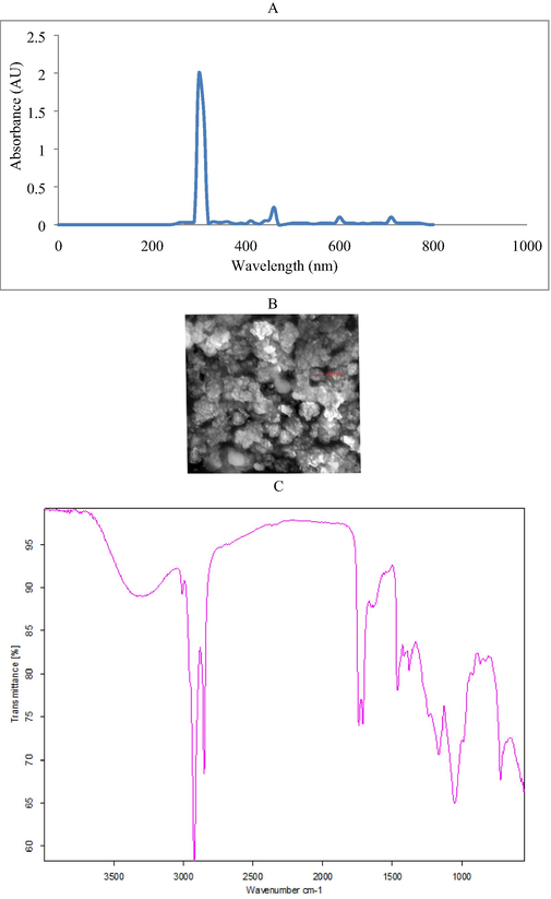 UV–Visible spectrophotometry analysis of green synthesized iron NPs (A), SEM image of iron NPs (B) and FT-IR spectrum of green synthesized iron NPs (C).