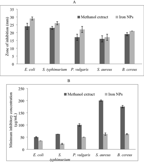 Antibacterial activities of methanol extract and iron NPs against diarrhoea cusing bacteria. Well diffusion method was used and the result was described as zone of inhibition (mm). Antibacterial activity of methanol extract and nanoparticles (A) and MIC of methanol extract and iron nanoparticles against diarrhoea cusing bacteria (µg/mL) (B).