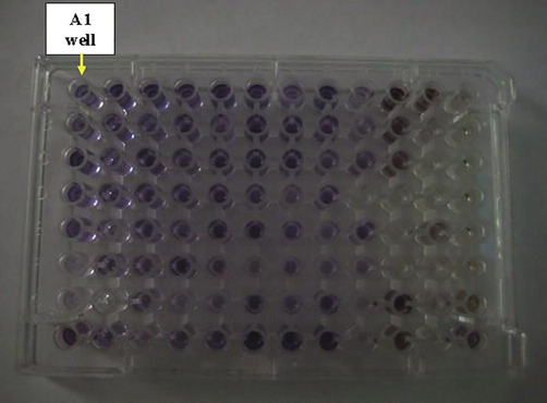 The Biolog plate inoculated with the isolate EA3.