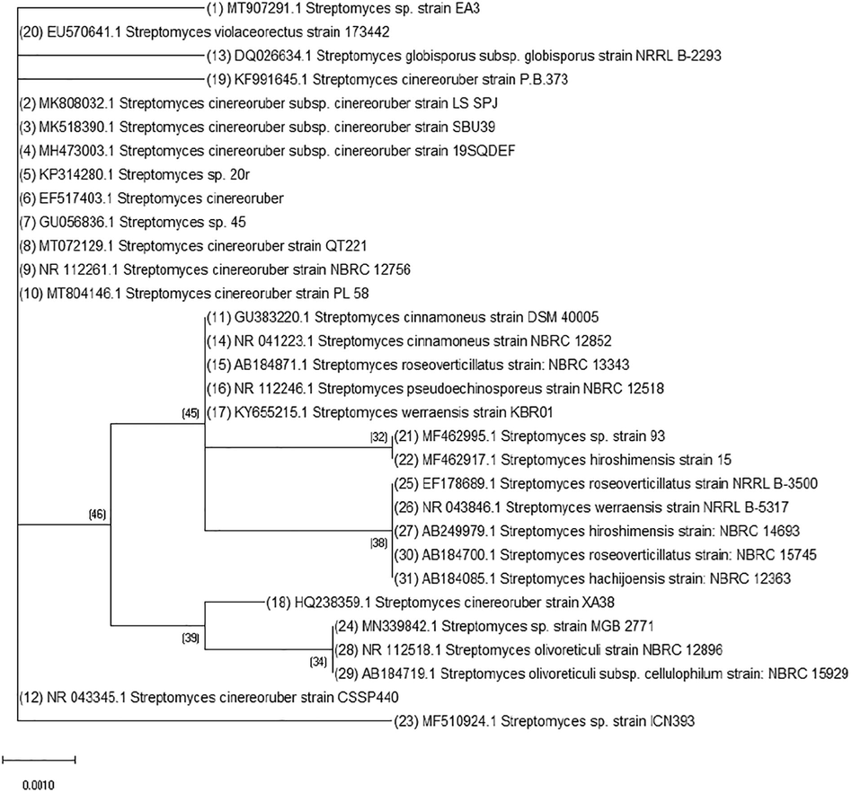 Neighbor-joining of the partial 16S rRNA gene sequence of the isolate EA3 (No.1) with the partial sequences of the nearby streptomycetes in the GenBank.