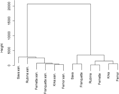 Dendrogram depiciting the grouping of healthy and infected leaves with walnut bacterial blight of six cultivars, using Ward‘s method (squared Euclidean distance) based on total phenolic compounds. The data is standardised (µ = 0, σ = 1).