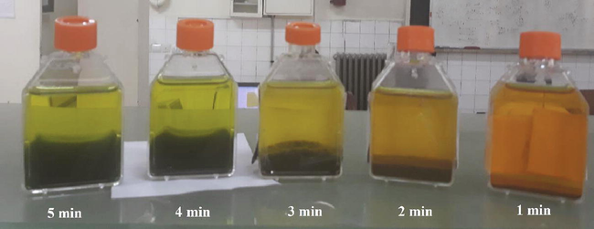 The generated sludge in different reaction time of USM.