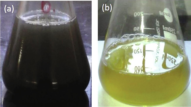 Visual observation of (a) Titanium sulphate solution with L. acutangula leaves extract (b) Biosynthesized titanium dioxide nanoparticles.