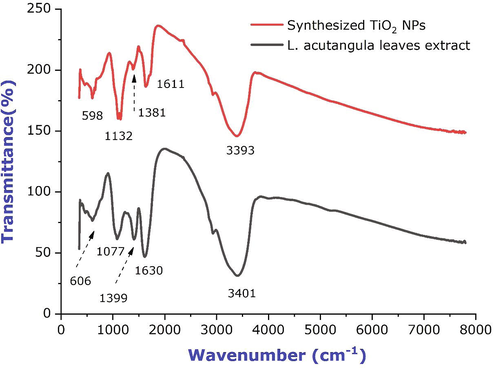 FTIR spectra of L. acutangula leaves extract and synthesized titanium dioxide nanoparticles.