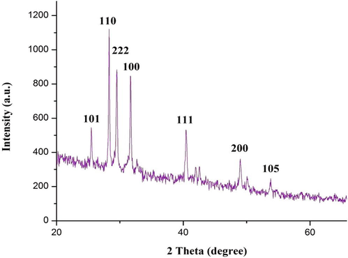 XRD pattern of the synthesized TiO2 NPs.