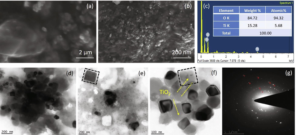 Characterization analysis (a) and (b) SEM micrograph of synthesized TiO2 NPs, (c) Energy-dispersive X-ray spectroscopy exhibiting the chemical components of the synthesized TiO2 NPs, (d)-(f) Transmission electron microscopic analysis of TiO2 NPs, and (g) SAED pattern of TiO2 NPs.