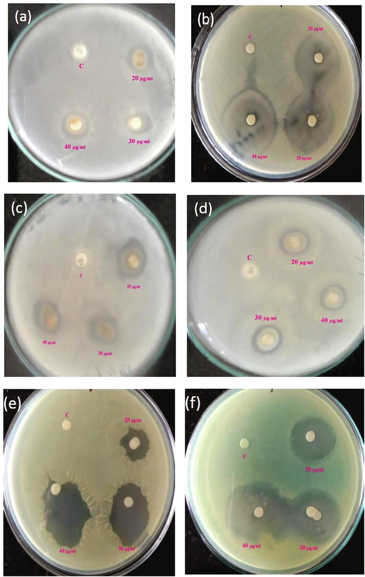 Zone of inhibition observed against (a) B. subtilis (b) E. coli (c) E. faecalis (d) K. pneumonia (e) S. aureus and (f) P. aeruginosa.