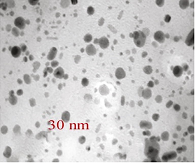 HRTEM analysis of green synthesized silver nanoparticles.