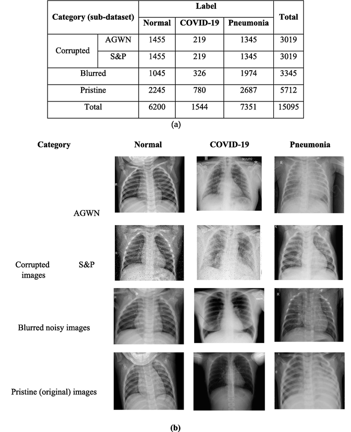 (a) Distribution of images in dataset by their categories and labels, (b) Sample images from the COVID-19 dataset 25]