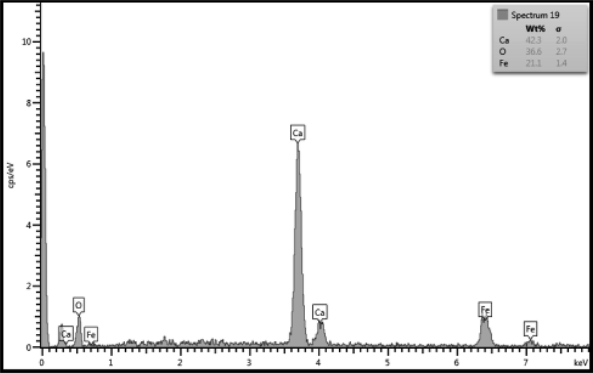 EDAX spot analysis of an agglomerate with calcium crystals.