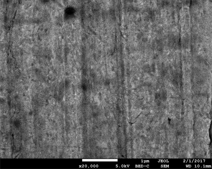 Backscattered electron image of the meteorite specimen.