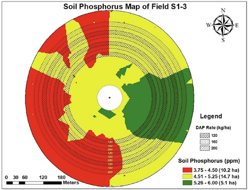 Soil phosphorus zones and variable DAP fertilizer rates in the study field.