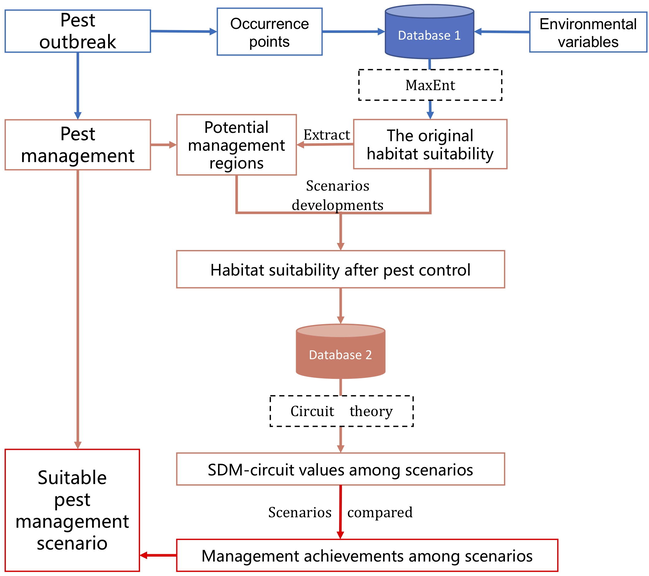 Modeling framework of the study.