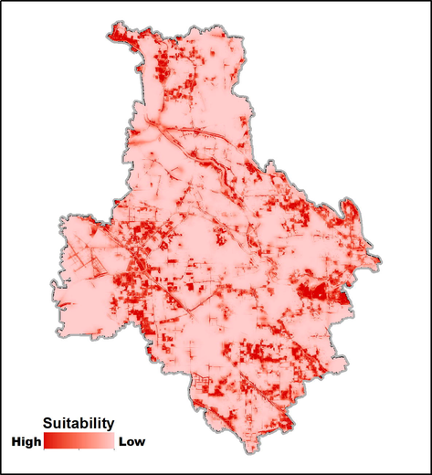 Habitat suitability map for S. cinerearia.