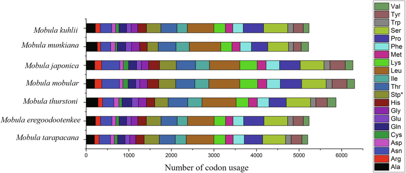 Comparison of codon usage within the mitochondrial genome of members of the Mobula species (Mobula tarapacana, Mobula eregoodootenkee, Mobula thurstoni, Mobula mobular, Mobula japonica, Mobula munkiana and Mobula kuhlii).