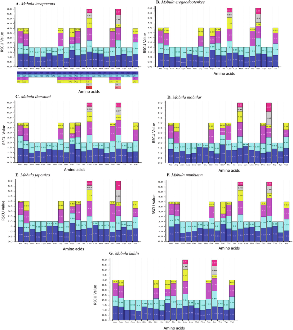 Relative Synonymous Codon Usage (RSCU) of the mitochondrial genome of seven species in the Mobula. Codon families are plotted on the x-axis. Codons indicated above the bar are not present in the mitogenome.