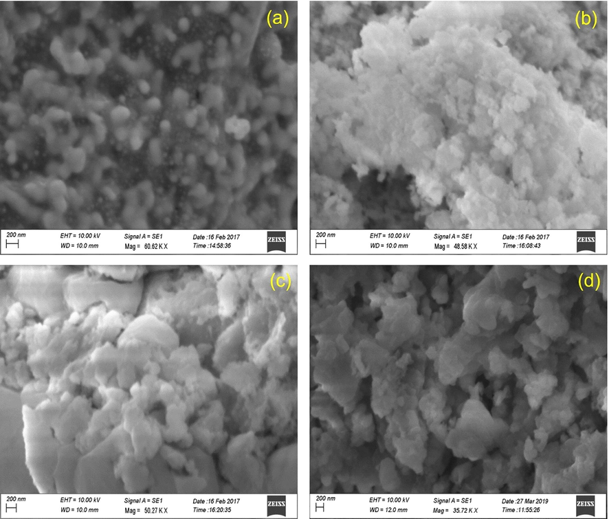 SEM images of biosynthesized CuNPs of couroupita guianensis; (a) Flower petals; (b) Stem; (c) Bark and; (d) Leaves.