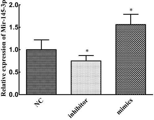 Mirna-145-3p transfection efficiency (compared with group NC, *P < 0.05).