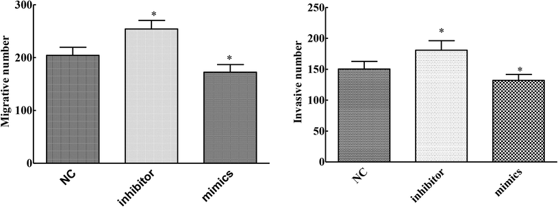 Effects of overexpression and knockdown of mirNA-145-3p on invasion and metastasis of cervical cancer cells (compared with NC group, *P < 0.05).