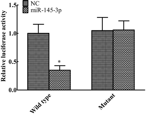 Change of dual luciferase activity (compared with NC group, *P < 0.05).