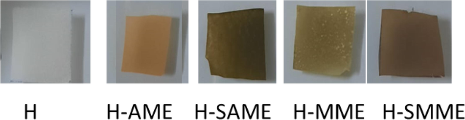 Hydrogel films of H, H-AME, H-SME, H-SAME and H-SMME.