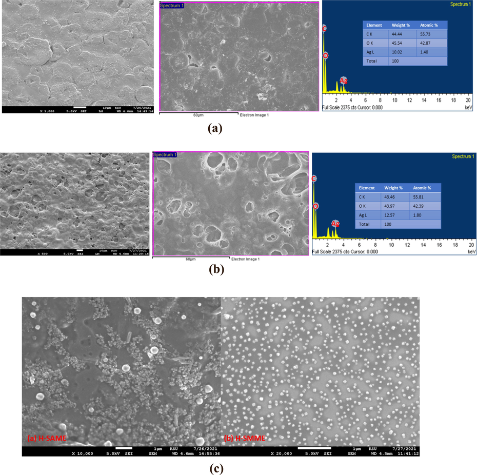 (a) SEM of H-SAME. (b) SEM of H-SMME. (c) SEM of H-SAME and H-SMME (higher resolution).