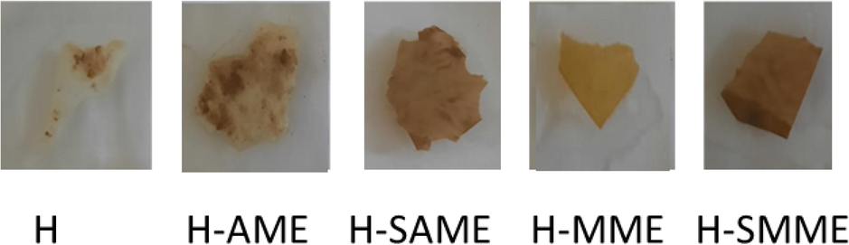 Hydrogel films after soil biodegradation.