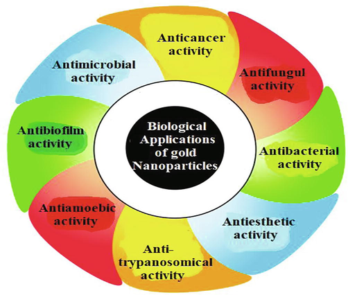 Different biological activities of Au-NPs.