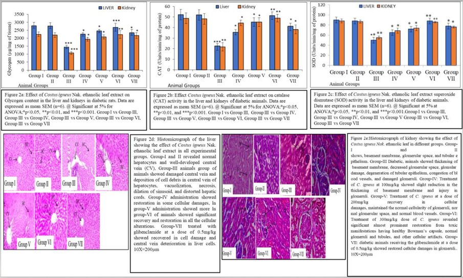 a-e: Shows the various parameters viz glycogen content (a), catalase activity (b), superoxide dismutase (SOD) activity (c), histophotomicrograph of liver (d) and histophotomicrograph of kidney (e).