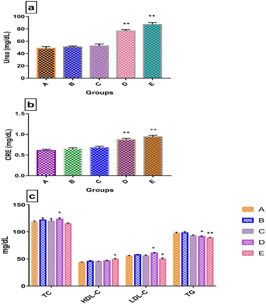 a. Urea, Values are means ± SEM (n = 4). **p < 0.01 significantly different from control group (two-way ANOVA followed by Dunnett’s multiple comparisons test). Legends: A-Normal control (without LCE extract), B-250 mg/kg bw, C-500 mg/kg bw, D-1000 mg/kg bw, E-2000 mg/kg bw. b. CRE Values are means ± SEM (n = 4). **p < 0.01 significantly different from control group (two-way ANOVA followed by Dunnett’s multiple comparisons test) c. Biochemical analysis of lipid profile (TC, HDL-C, LDL-C and TG). Values are means ± SEM (n = 4). *p < 0.05 and **p < 0.01 significantly different from control group (two-way ANOVA followed by Dunnett’s multiple comparisons test).