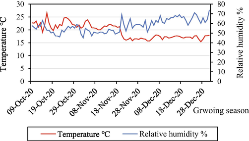 The average temperature and humidity during the lettuce growing season of 2020.