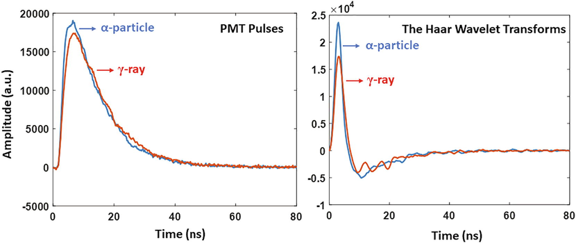 Two example α-particle and γ-ray pulses, together with their corresponding Haar wavelet transforms with a scale value of 15 ns. Both pulses have the same energy. The ratio of the amplitude of the photomultiplier output pulses is only 1.05 while the ratio of the amplitude of the Harr wavelet transforms of the pulses is ∼ 1.36.