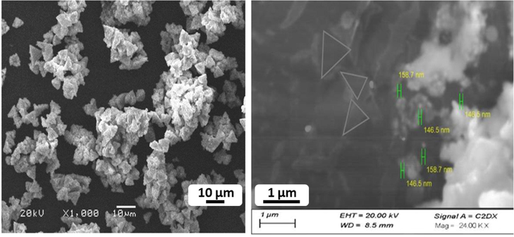 SEM analysis of Fe/Cu nanoparticles at different scale bars.